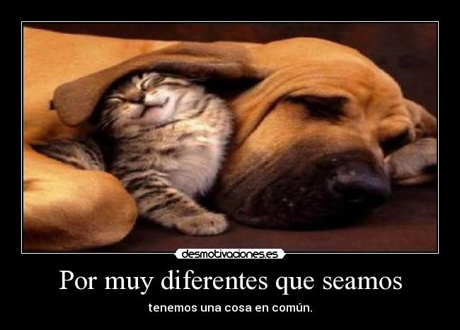 Por muy diferentes que seamos - tenemos una cosa en común.