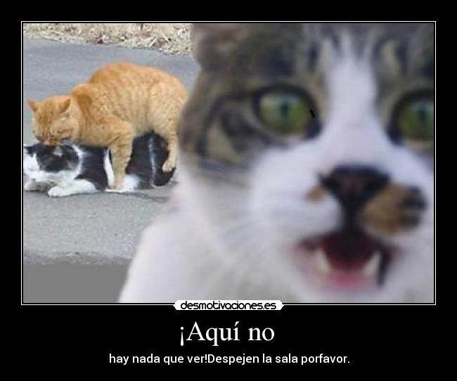 ¡Aquí no - hay nada que ver!Despejen la sala porfavor.