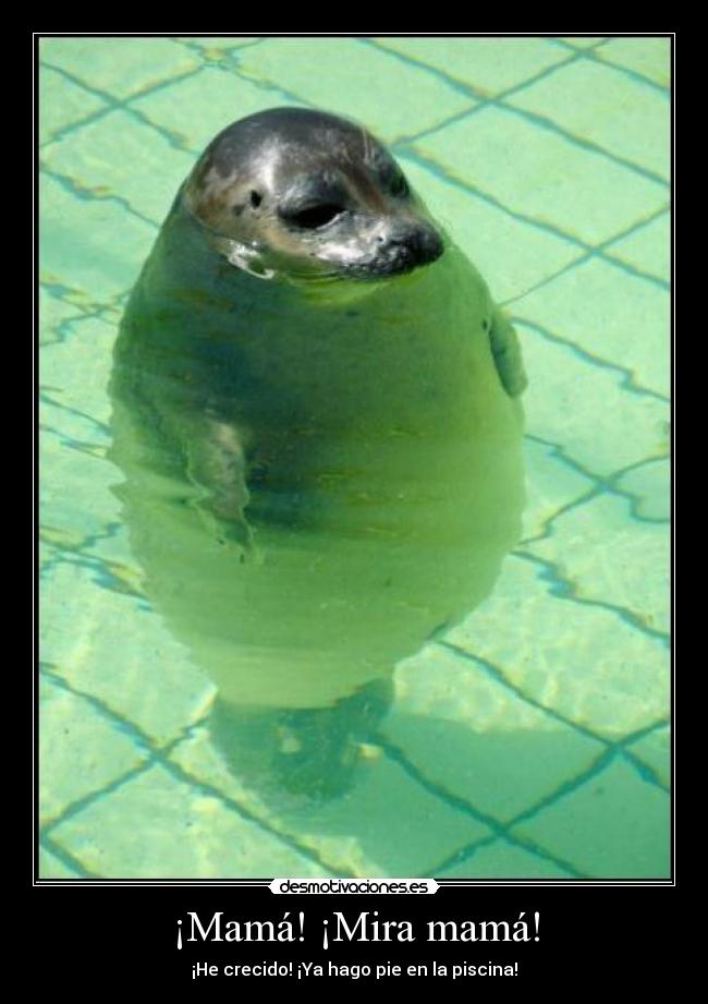 ¡Mamá! ¡Mira mamá! - ¡He crecido! ¡Ya hago pie en la piscina!