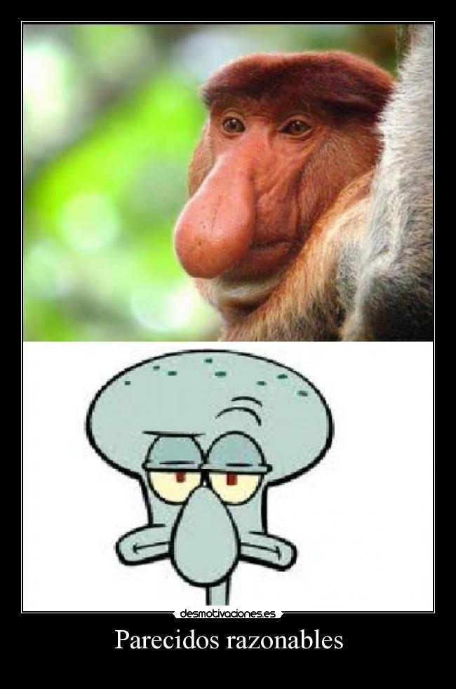 Parecidos razonables -