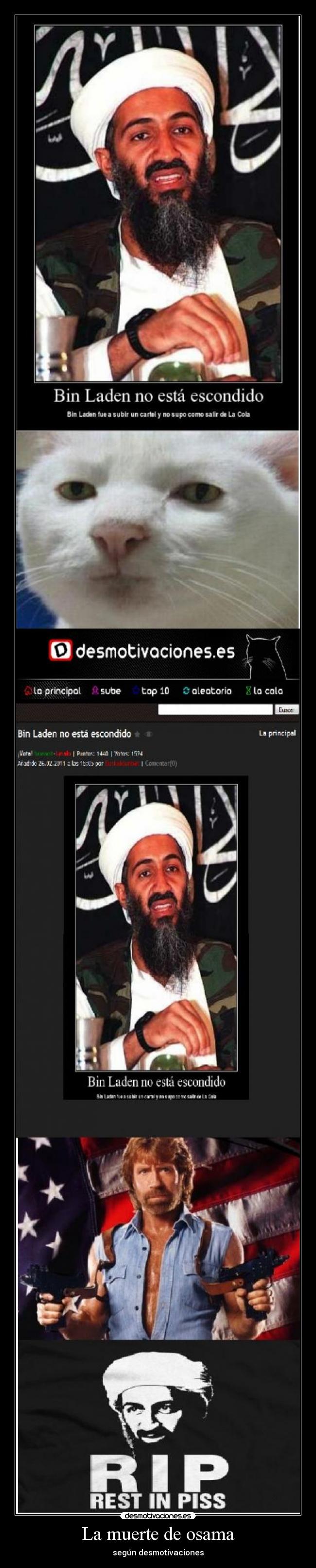 La muerte de osama -