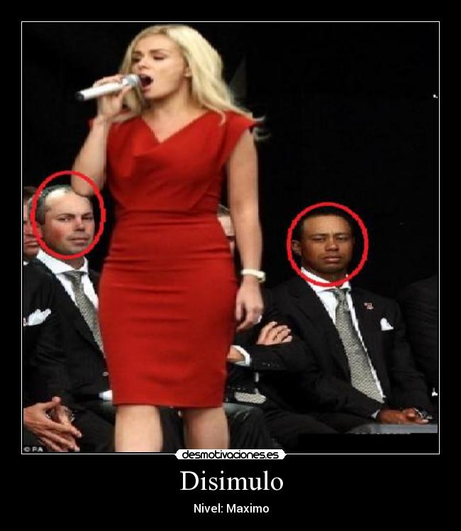 Disimulo - Nivel: Maximo