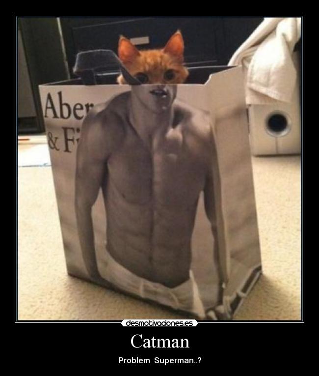 Catman - 