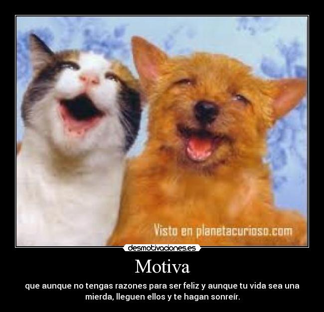 Motiva - que aunque no tengas razones para ser feliz y aunque tu vida sea una
mierda, lleguen ellos y te hagan sonreír.
