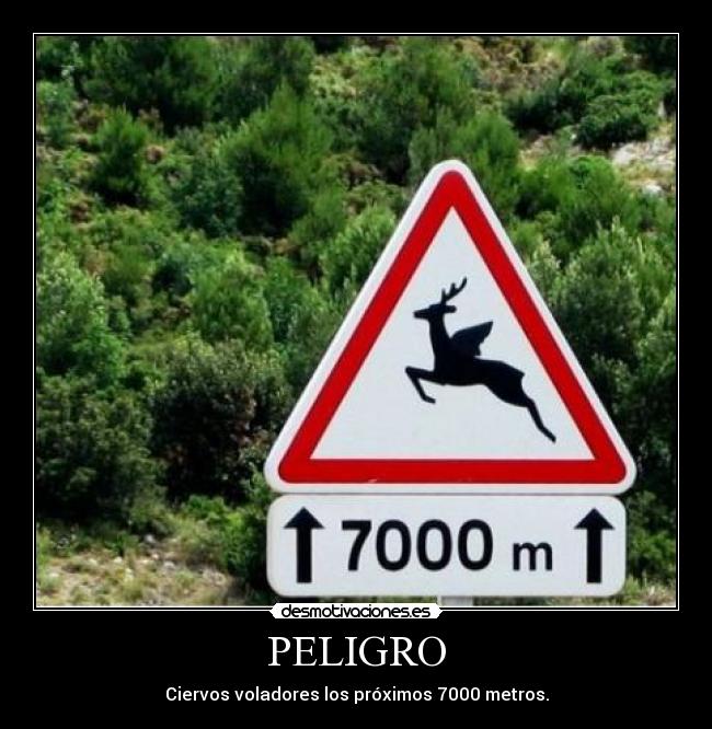PELIGRO - 