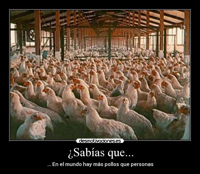 ¿Sabías que... -