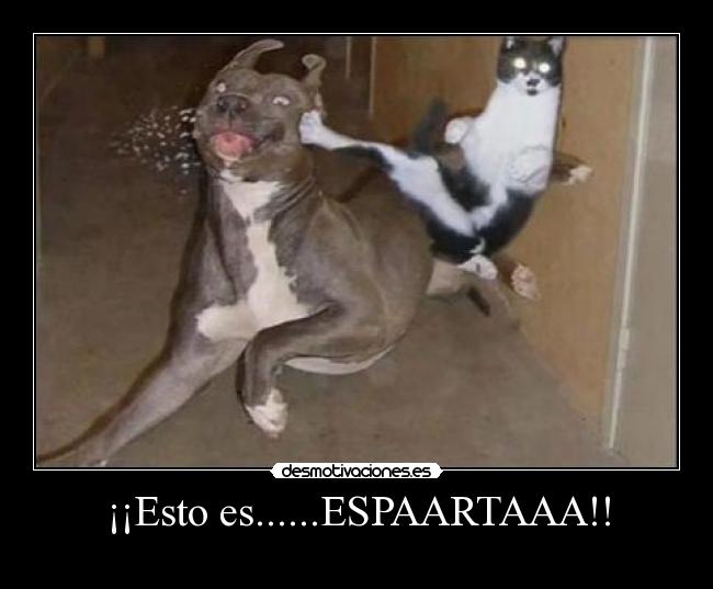¡¡Esto es......ESPAARTAAA!! - 