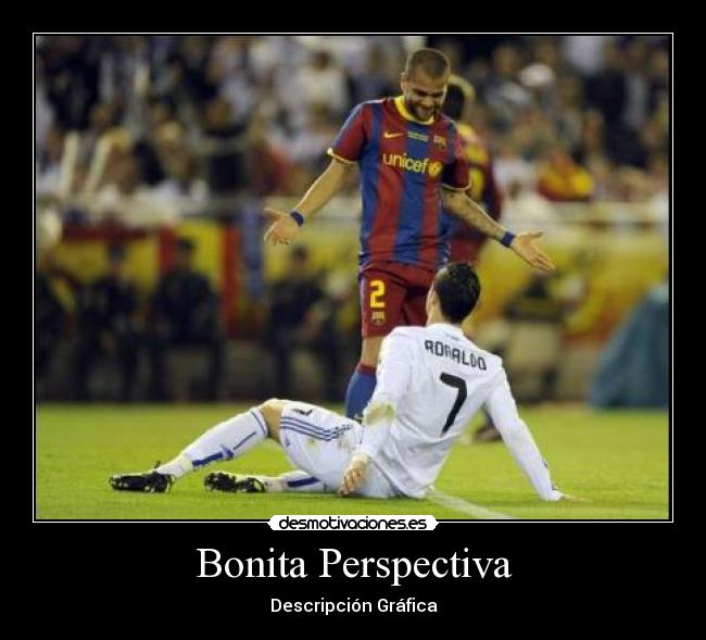 Bonita Perspectiva - Descripción Gráfica