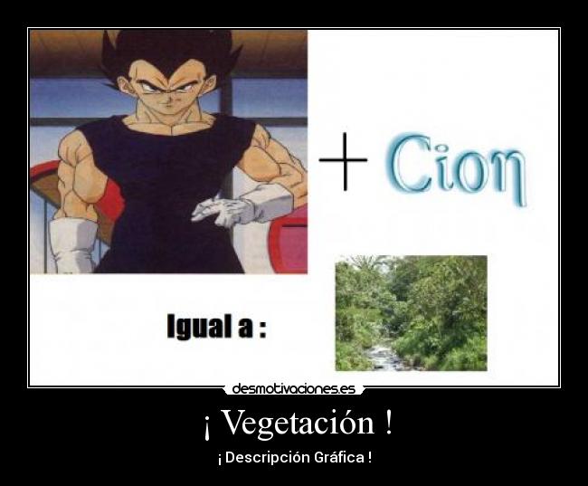 ¡ Vegetación ! - ¡ Descripción Gráfica !