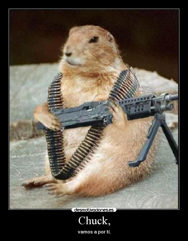 Chuck, - vamos a por tí.