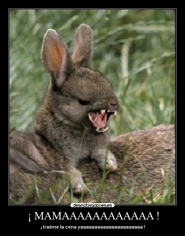 carteles ytyyte desmotivaciones