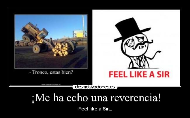 ¡Me ha echo una reverencia! - 