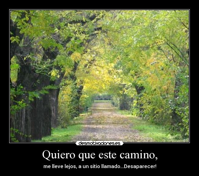 carteles desaparecer desmotivaciones