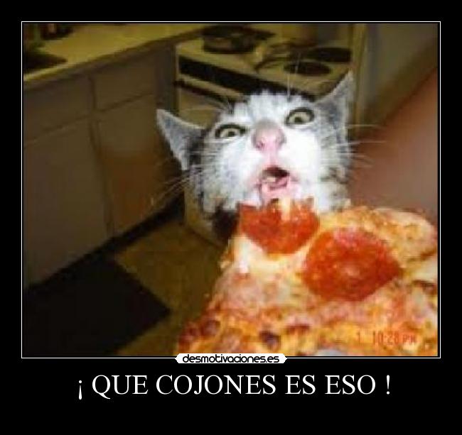 ¡ QUE COJONES ES ESO ! -