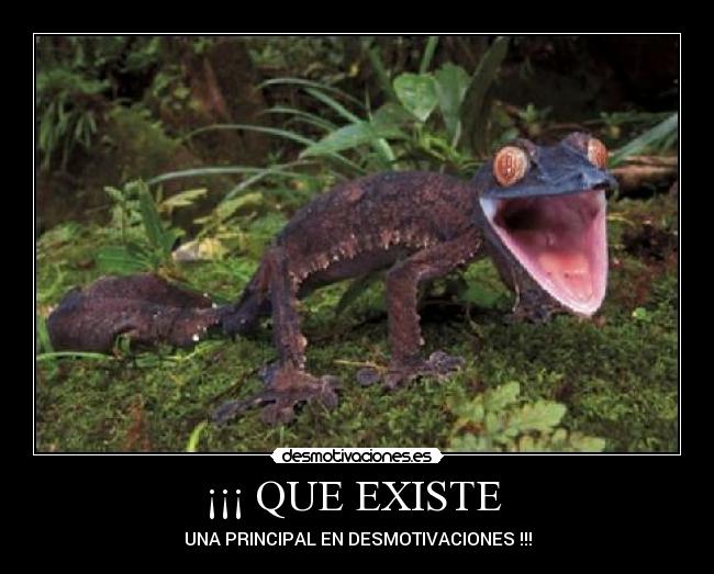 ¡¡¡ QUE EXISTE -
