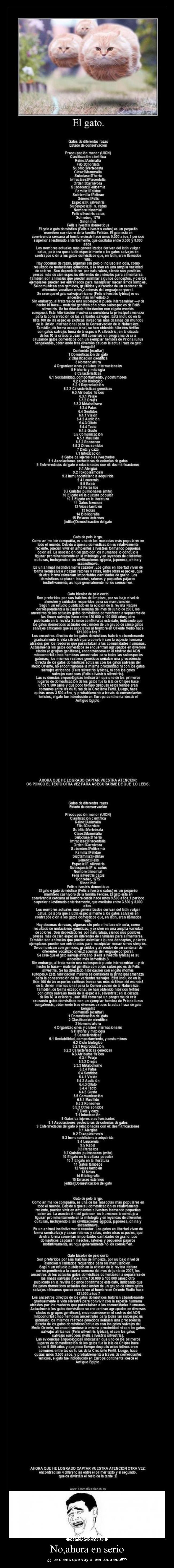 No,ahora en serio - ¿¿¡¡te crees que voy a leer todo eso!!??