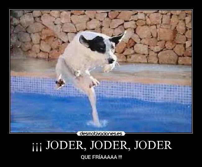 carteles kvgsgkjd desmotivaciones