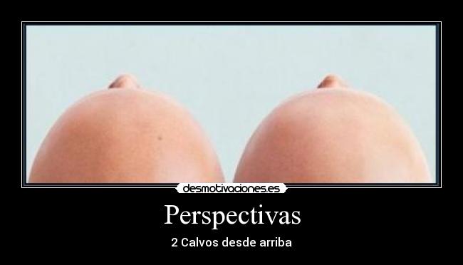 Perspectivas - 2 Calvos desde arriba