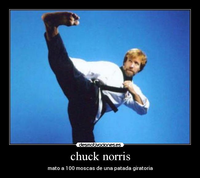 chuck norris - 