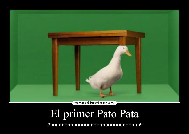 El primer Pato Pata - Piinnnnnnnnnnnnnnnnnnnnnnnnnnnnnn!!