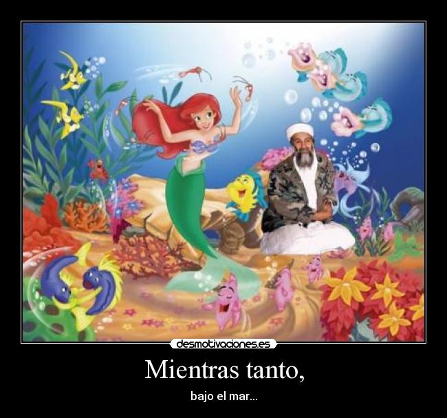 Mientras tanto, - bajo el mar...