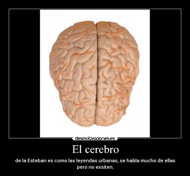 El cerebro - de la Esteban es como las leyendas urbanas, se habla mucho de ellas pero no exsiten.