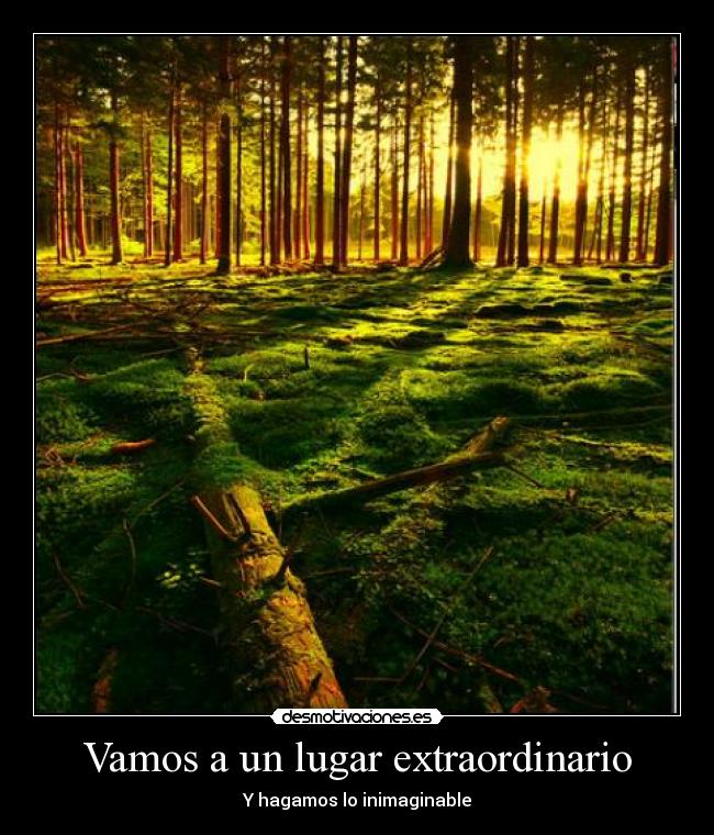 Vamos a un lugar extraordinario - Y hagamos lo inimaginable