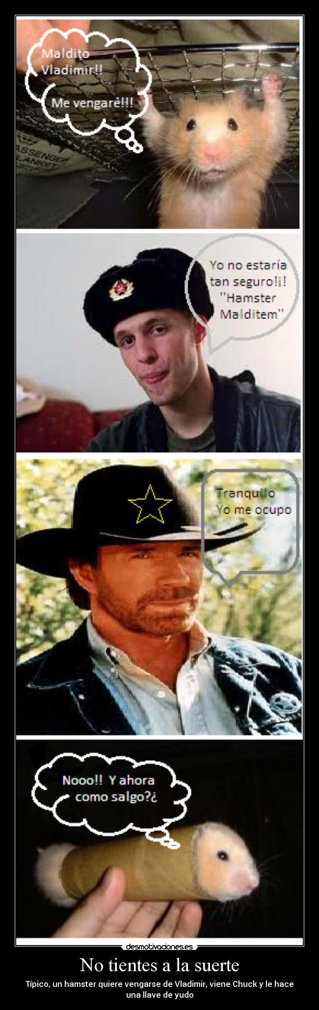 No tientes a la suerte - Típico, un hamster quiere vengarse de Vladimir, viene Chuck y le hace
una llave de yudo