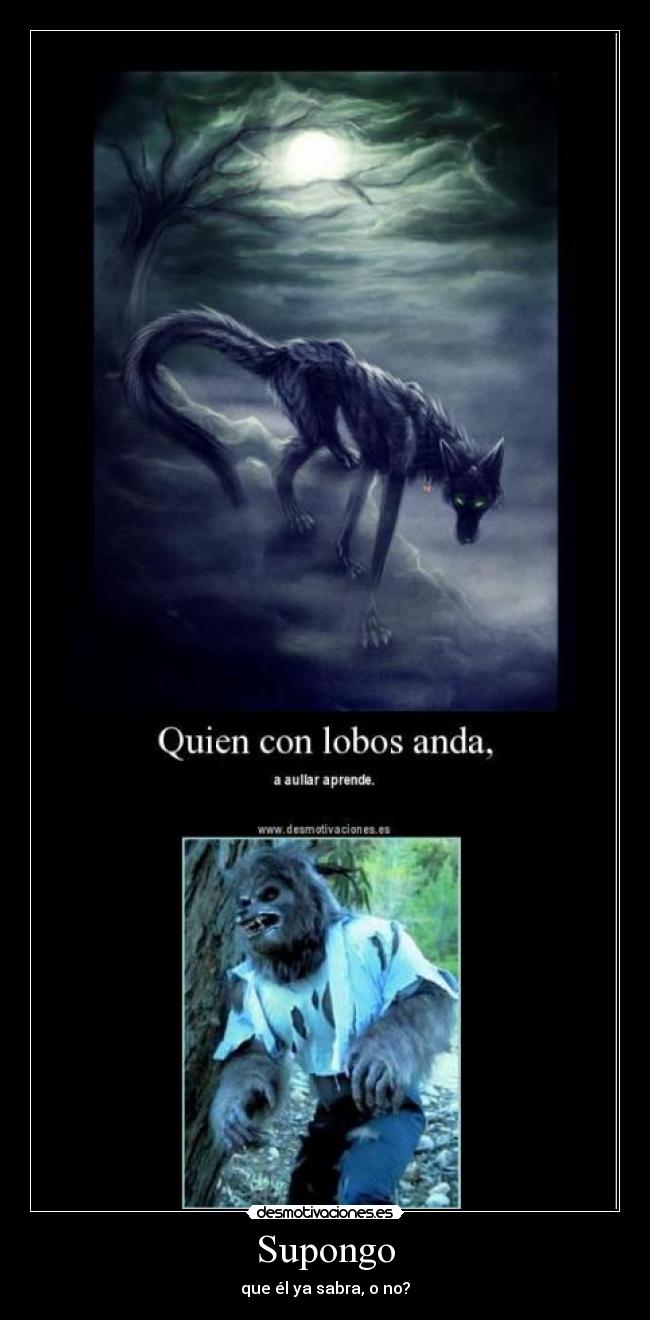 Supongo - que él ya sabra, o no?