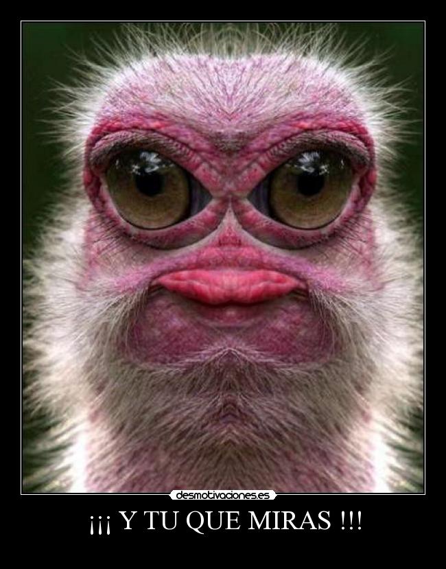 ¡¡¡ Y TU QUE MIRAS !!! - 