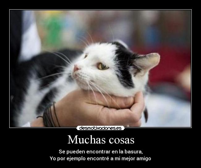 Muchas cosas -