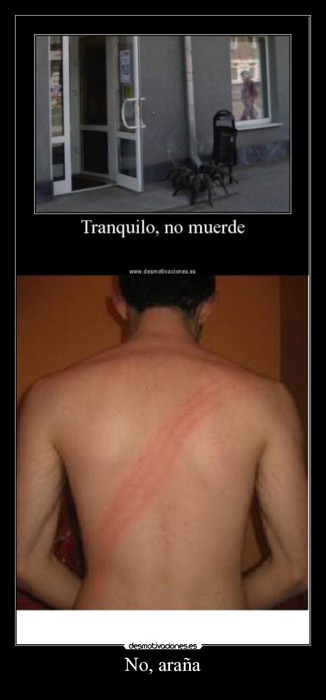 No, araña -