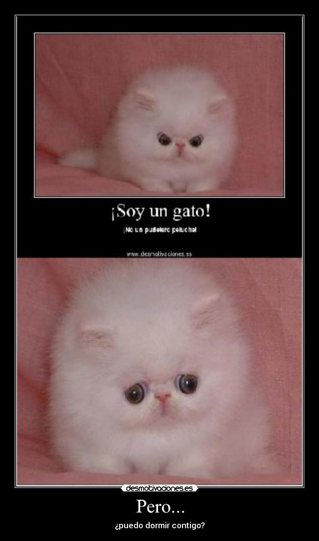 Pero... - ¿puedo dormir contigo?