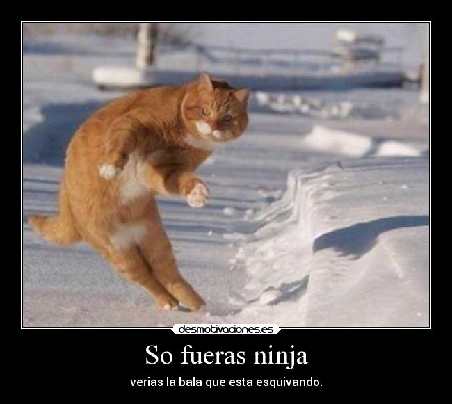 So fueras ninja - verias la bala que esta esquivando.