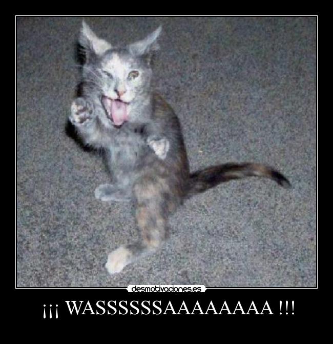 ¡¡¡ WASSSSSSAAAAAAAA !!! -