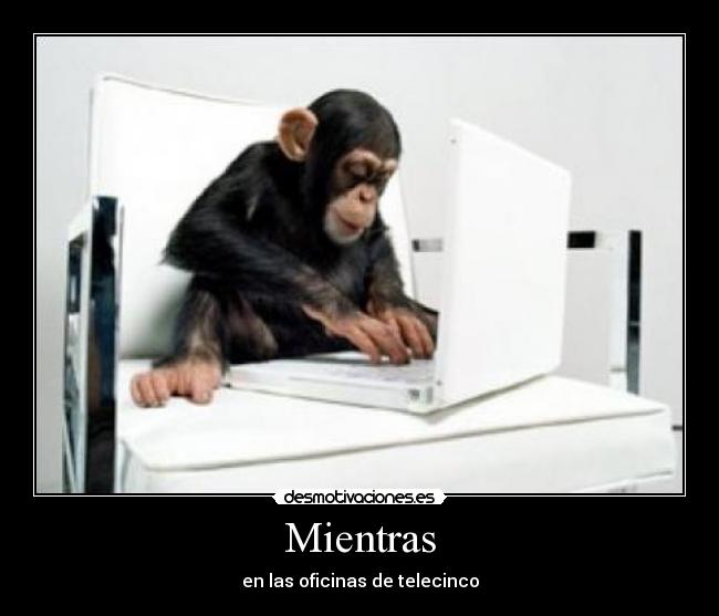 Mientras - en las oficinas de telecinco