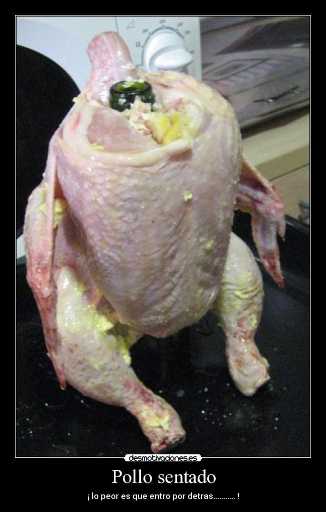 Pollo sentado - ¡ lo peor es que entro por detras........... !
