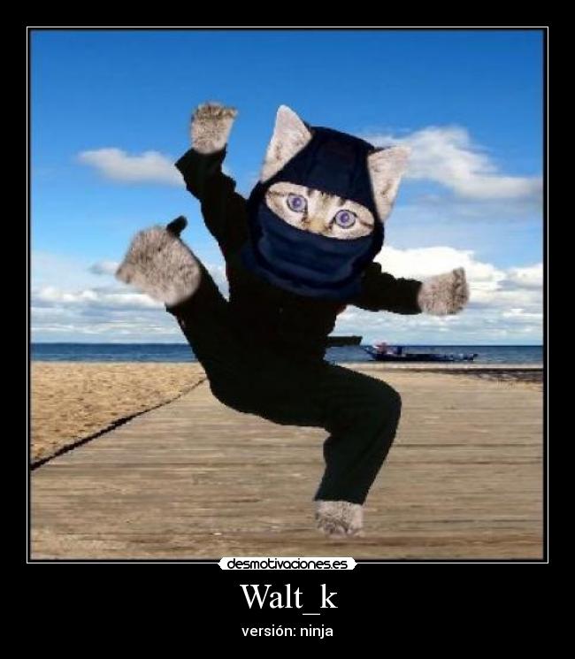 Walt_k - versión: ninja