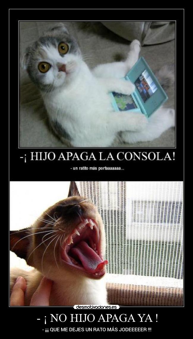 - ¡ NO HIJO APAGA YA ! - - ¡¡¡ QUE ME DEJES UN RATO MÁS JODEEEEER !!!