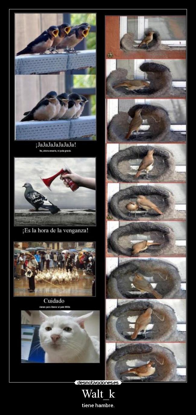 Walt_k - tiene hambre.