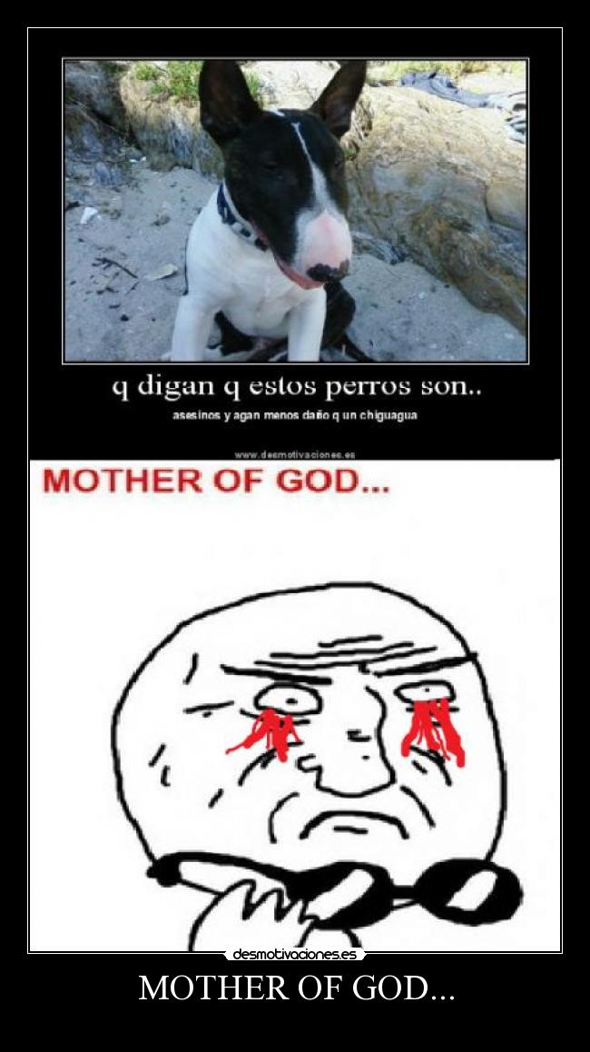 MOTHER OF GOD... -