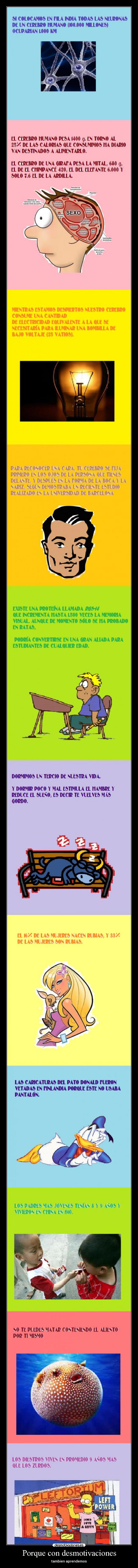 Porque con desmotivaciones -