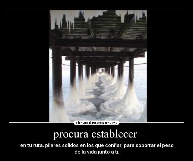 carteles procura establecer desmotivaciones