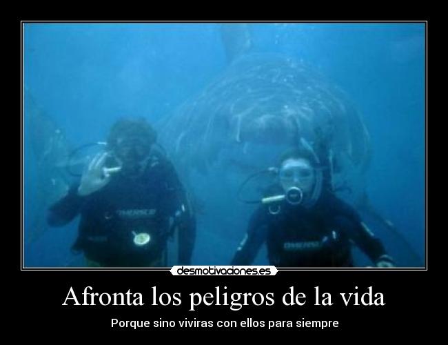 Afronta los peligros de la vida - Porque sino viviras con ellos para siempre