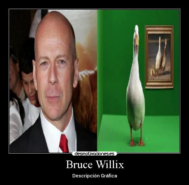 Bruce Willix -