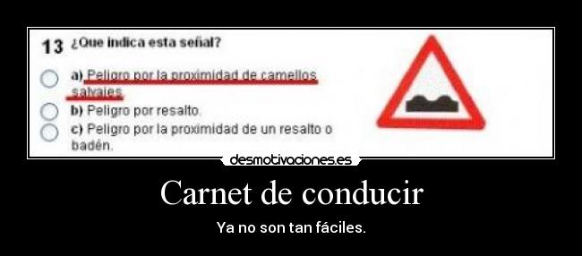 Carnet de conducir - 