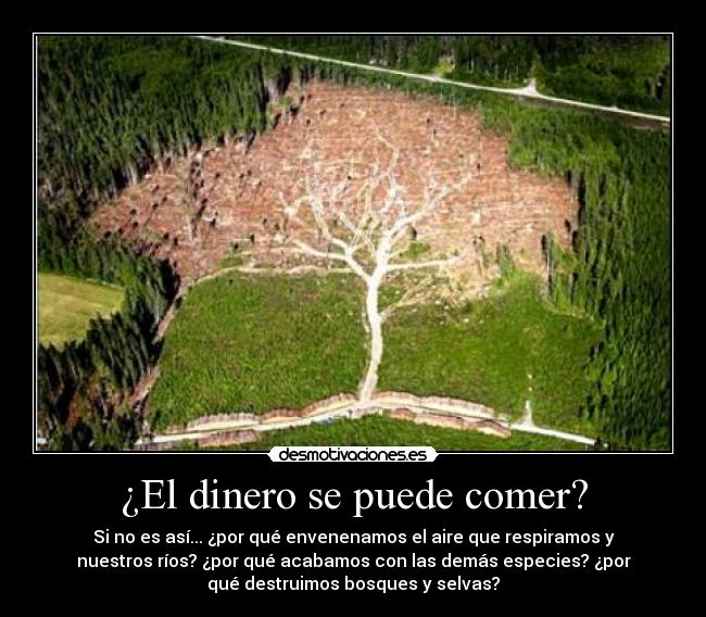 ¿El dinero se puede comer? - 