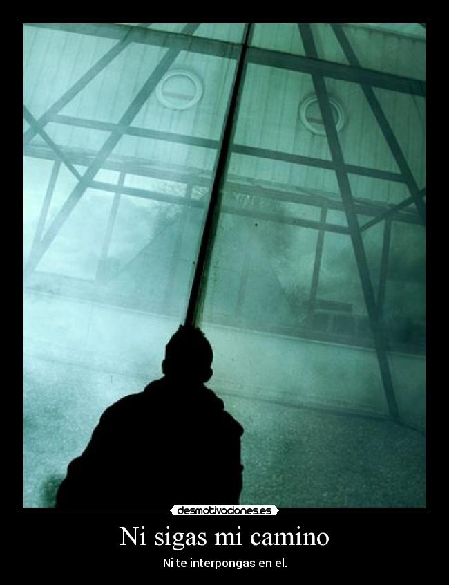 Ni sigas mi camino - 