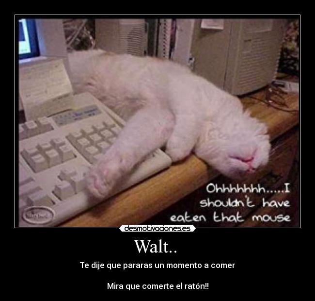 Walt..  - Te dije que pararas un momento a comer

Mira que comerte el ratón!!
