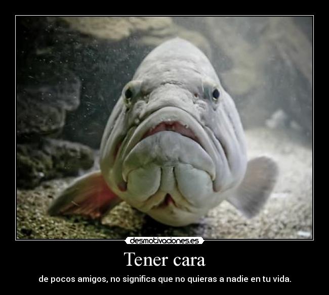 Tener cara - de pocos amigos, no significa que no quieras a nadie en tu vida.